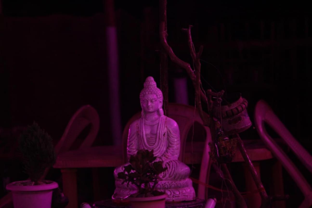 Shanti Samaya Home Stay Vl Ghoom Monastery, Samten Choeling Дарджилинг Экстерьер фото