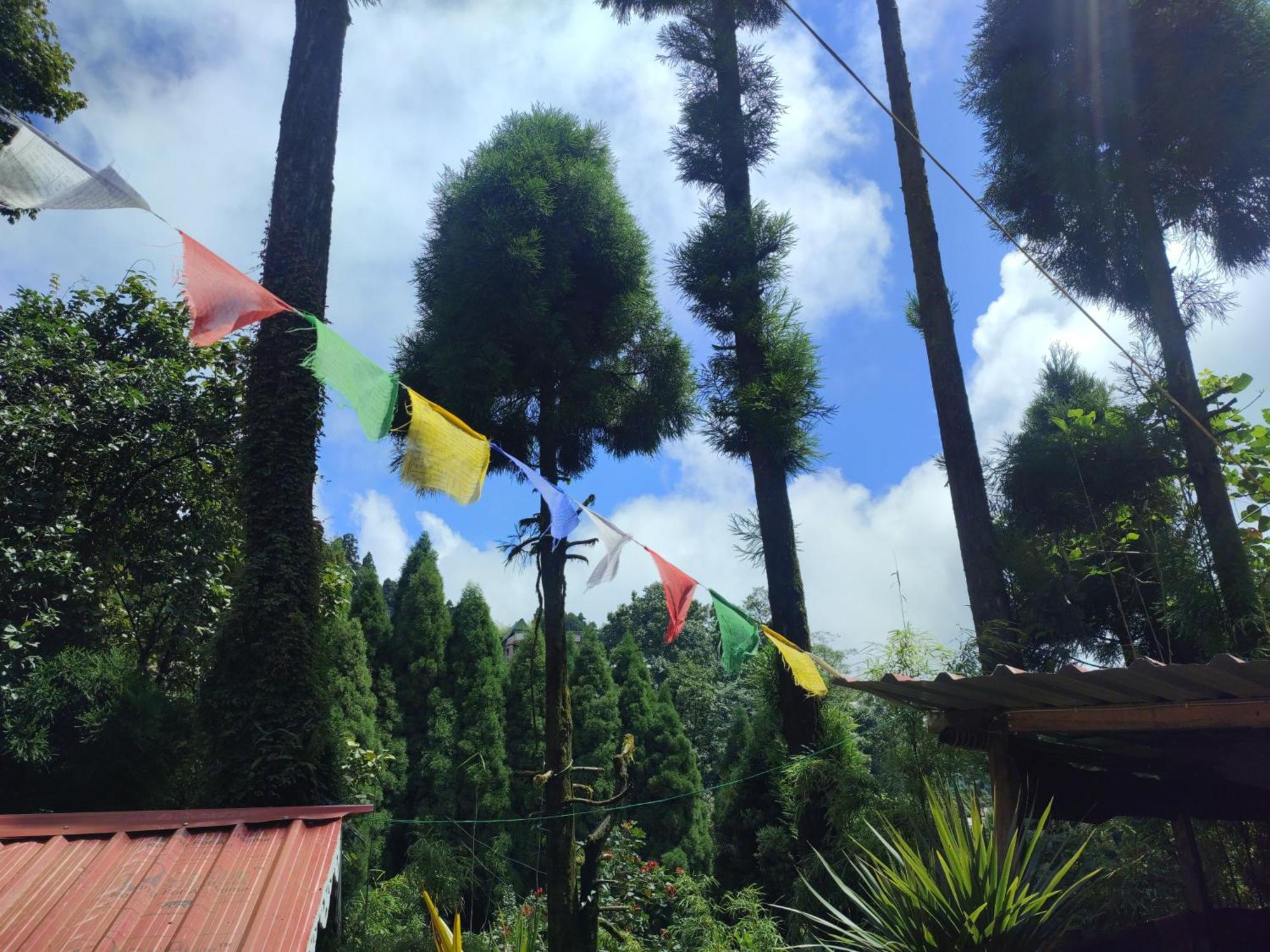 Shanti Samaya Home Stay Vl Ghoom Monastery, Samten Choeling Дарджилинг Экстерьер фото